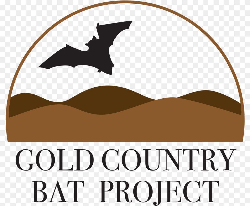 Flying Bats, Animal, Mammal, Wildlife Free Transparent Png