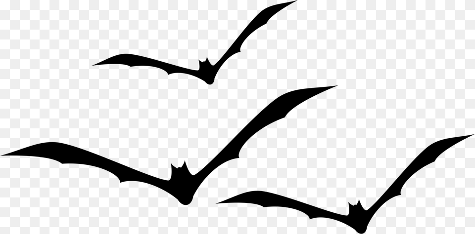 Flying Bats, Gray Png Image