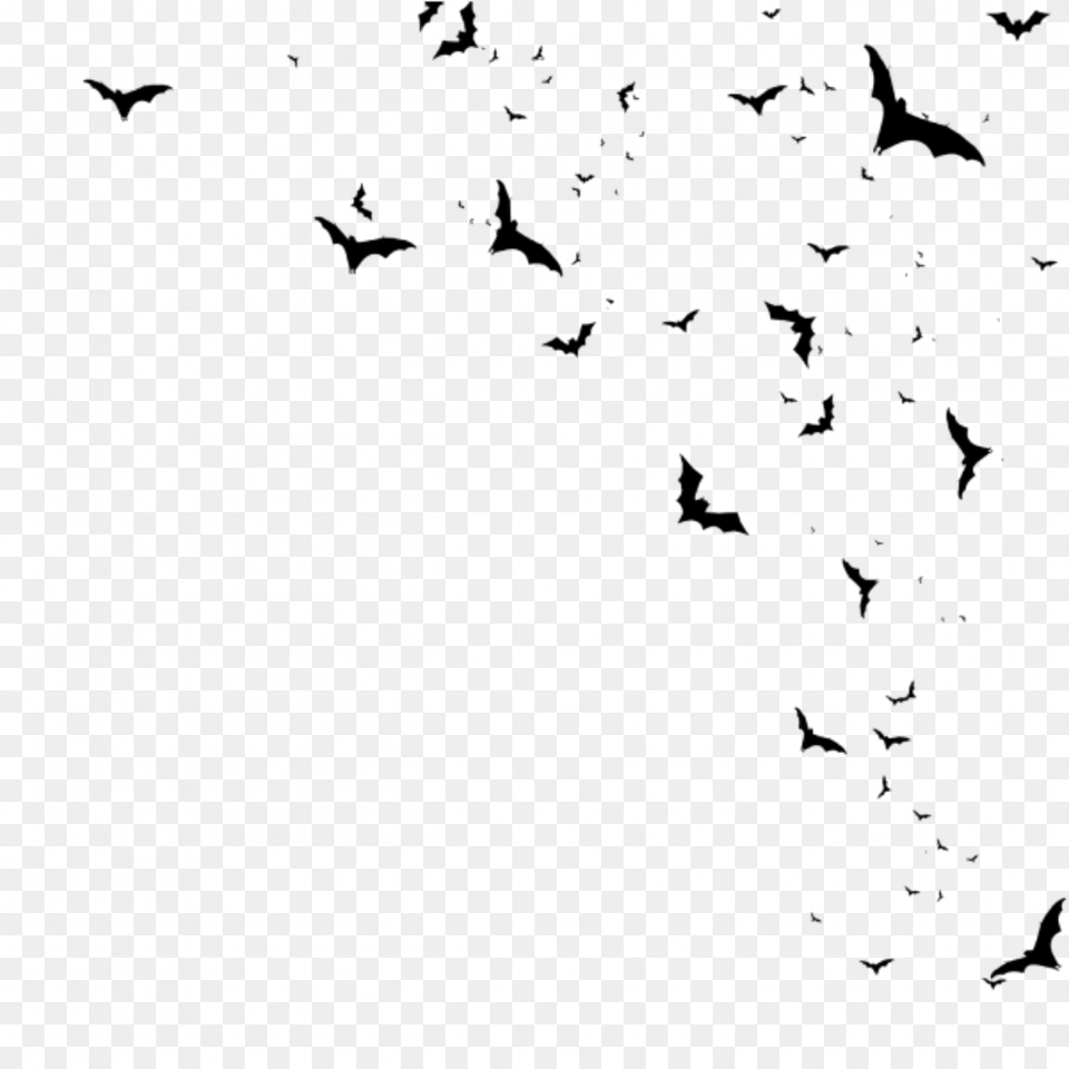 Flying Bats Clipart Bats, Gray Free Png