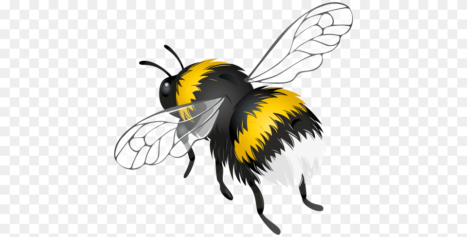 Flying Bee Clipart, Animal, Apidae, Bumblebee, Insect Free Png