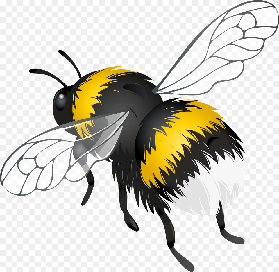 Flying Bee Clipart Clip Art Flying Bee, Animal, Apidae, Bumblebee, Insect Png