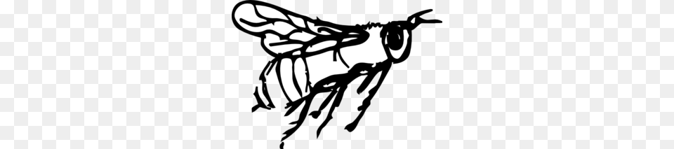 Flying Bee Drawing Clip Art, Animal, Insect, Invertebrate, Stencil Free Png Download