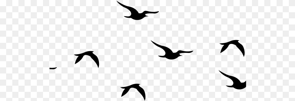 Flying Bird, Animal, Silhouette, Mammal Free Transparent Png