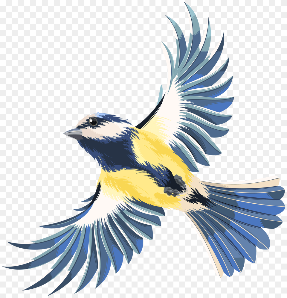 Flying Bird Clip Art Free Png
