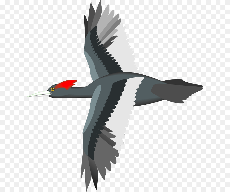 Flying Bird Clip Art Gif Bird Flying Transparent, Animal, Beak, Waterfowl, Crane Bird Free Png Download