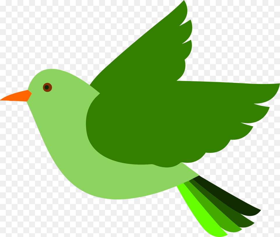 Flying Bird Clipart, Green, Animal, Beak, Fish Png