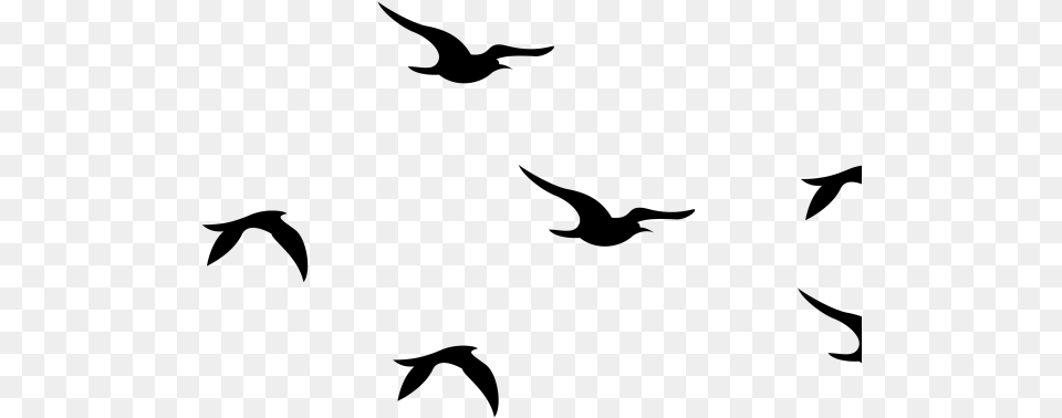 Flying Bird Graphic Birds Flying Silhouette Svg, Gray Free Png