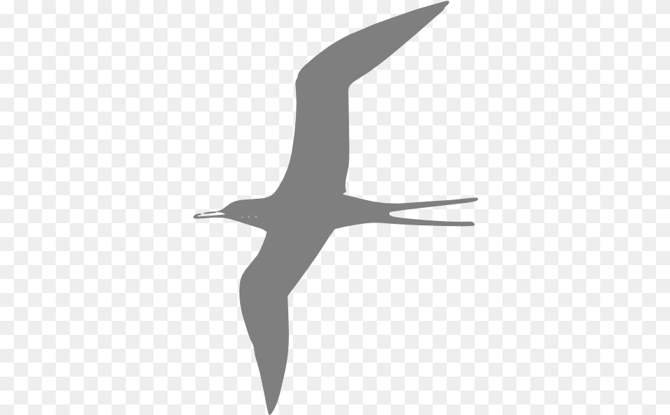 Flying Bird Grey Clip Arts For Web Clip Arts, Animal, Beak, Booby, Person Png Image
