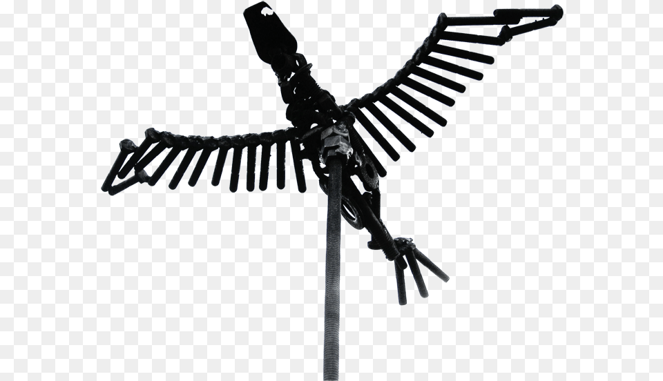 Flying Bird Scrap Metal Art Garden Sculpture Design Machine Gun, Skeleton Free Transparent Png