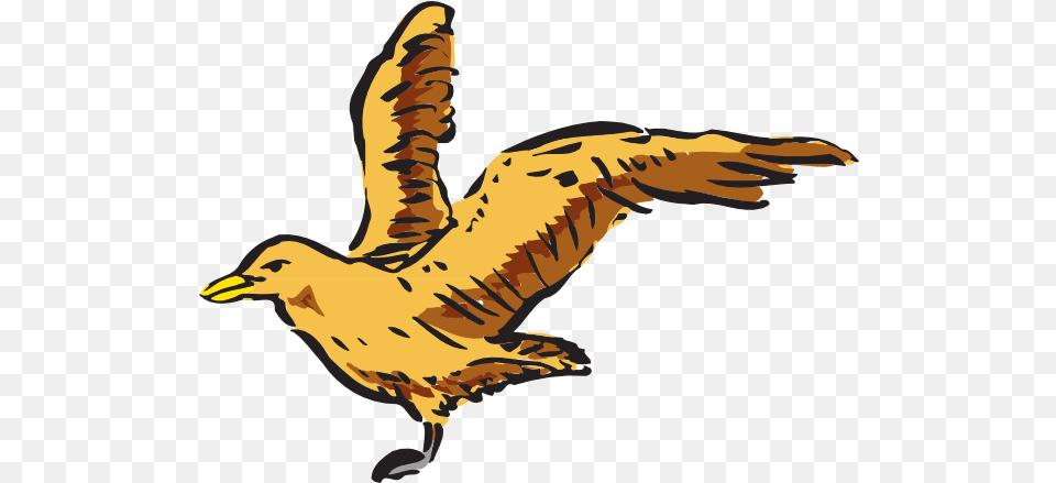 Flying Bird Side View Art Clip Vector Bird Side View, Animal, Seagull, Waterfowl, Beak Free Png