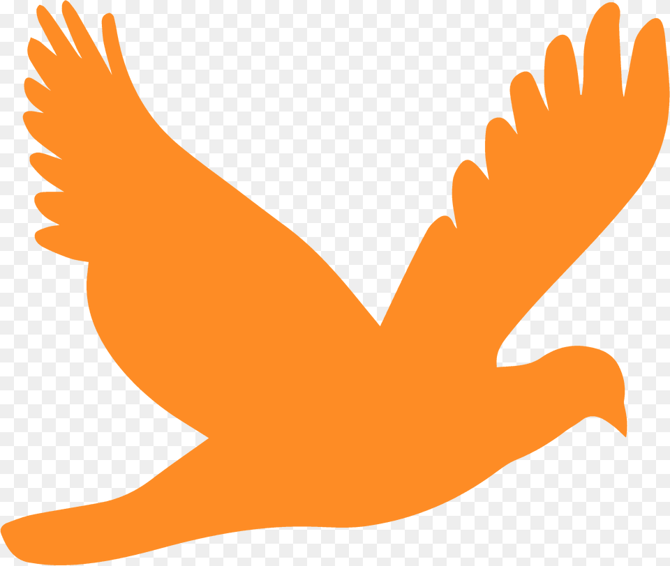Flying Bird Silhouette, Animal, Baby, Person, Pigeon Free Transparent Png