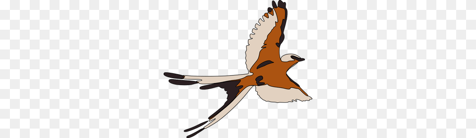 Flying Bird Silhouette Clip Art, Animal, Beak, Kite Bird, Swallow Png
