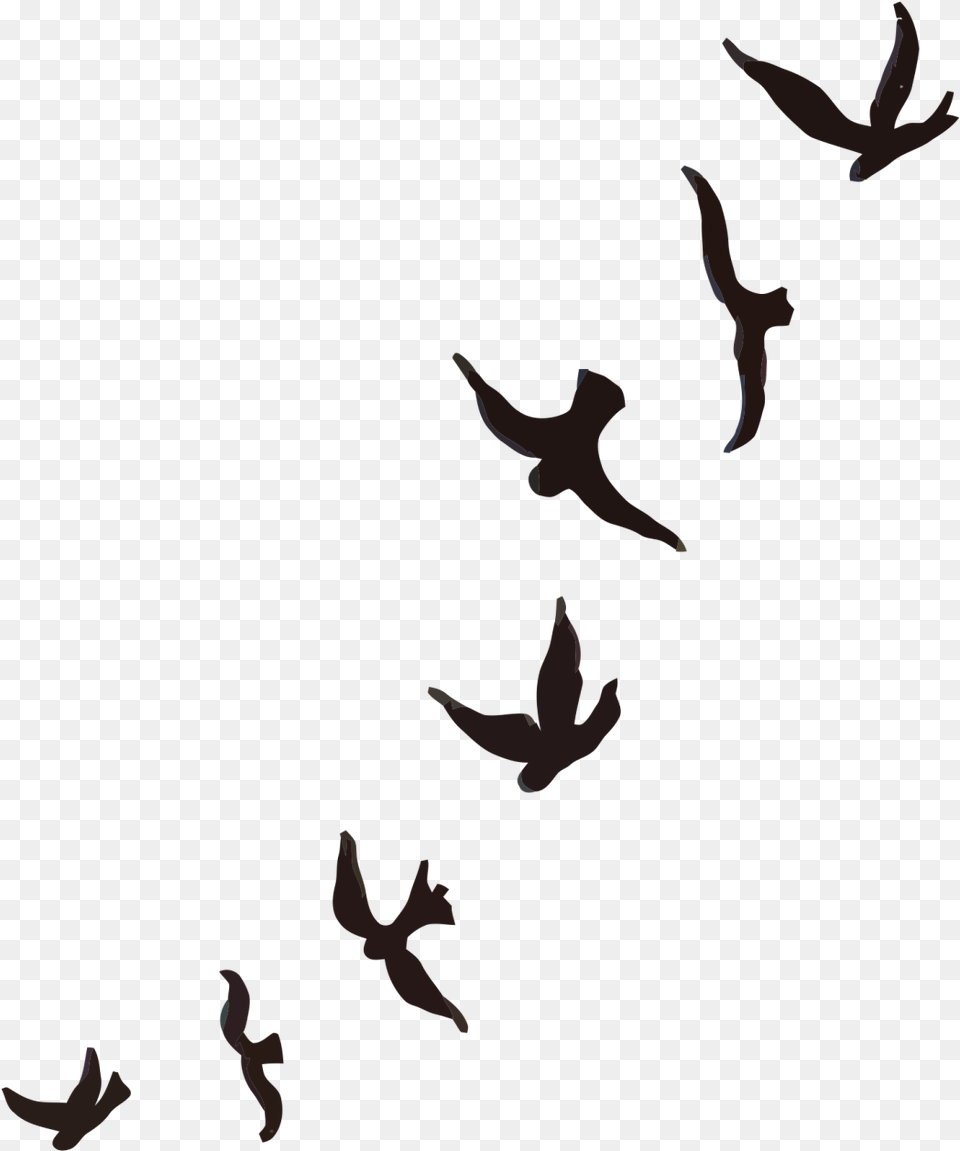Flying Bird Silhouette Tattoo Passaros, Animal, Flock Png