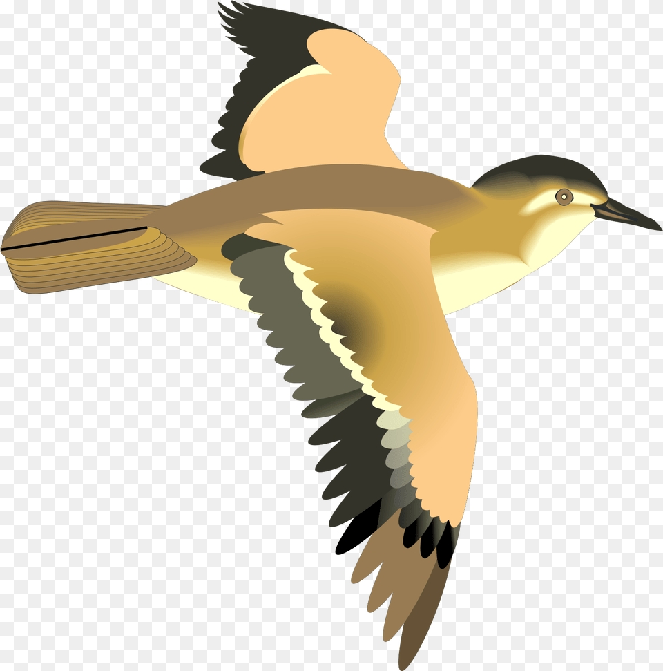 Flying Bird Svg Clip Art For Web Download Clip Art Flying Bird Gif, Animal, Beak, Waterfowl Png Image