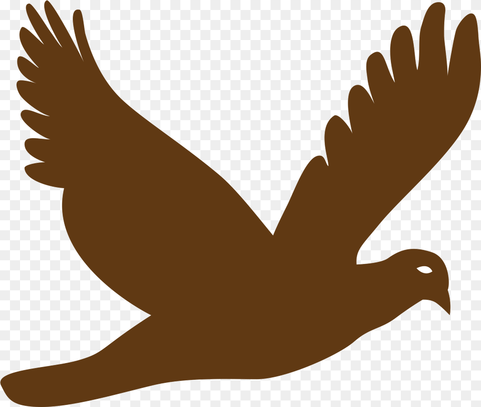 Flying Bird Vector Silhouette Flying Bird, Animal, Pigeon, Dove, Person Free Transparent Png