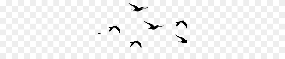 Flying Birds, Gray Png