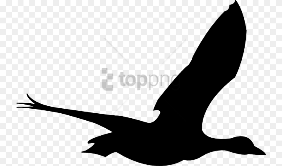 Flying Birds Animation Image With Transparent Flying Bird Gif, Silhouette, Animal, Waterfowl, Goose Free Png Download