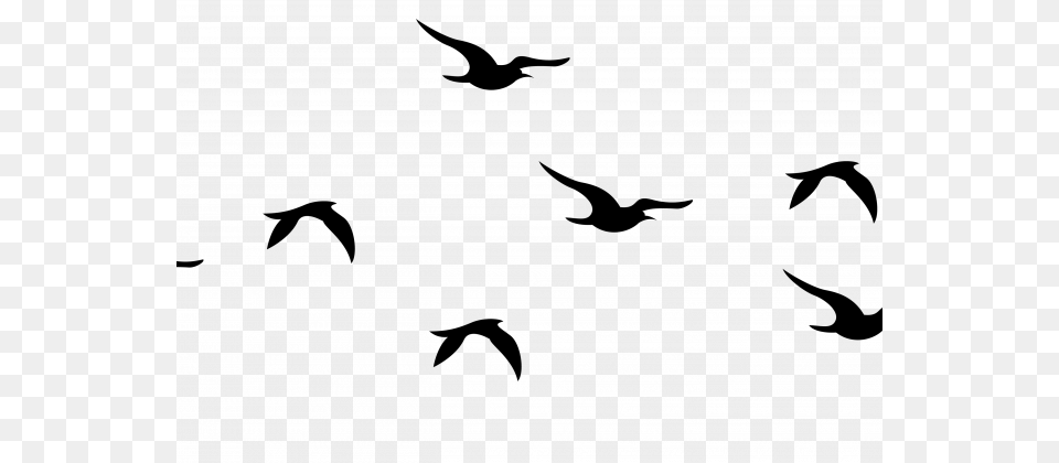 Flying Birds Clip Library Portable Network Graphics, Gray Free Png Download