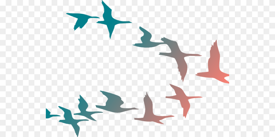 Flying Birds Clipart Birds Flying Away, Animal, Bird, Flock, Booby Free Png Download