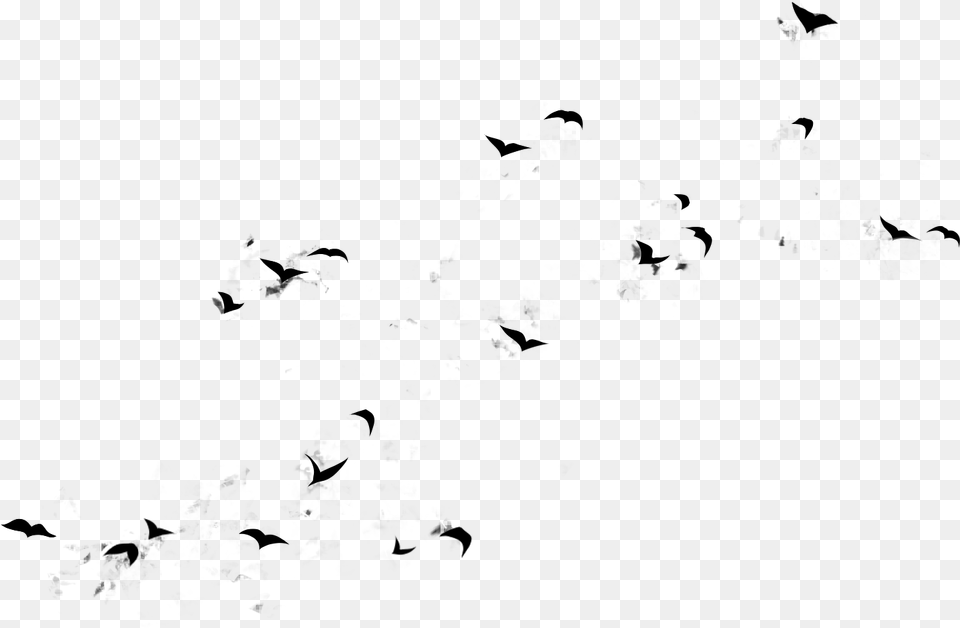 Flying Birds Design Large Flock, Gray Png Image