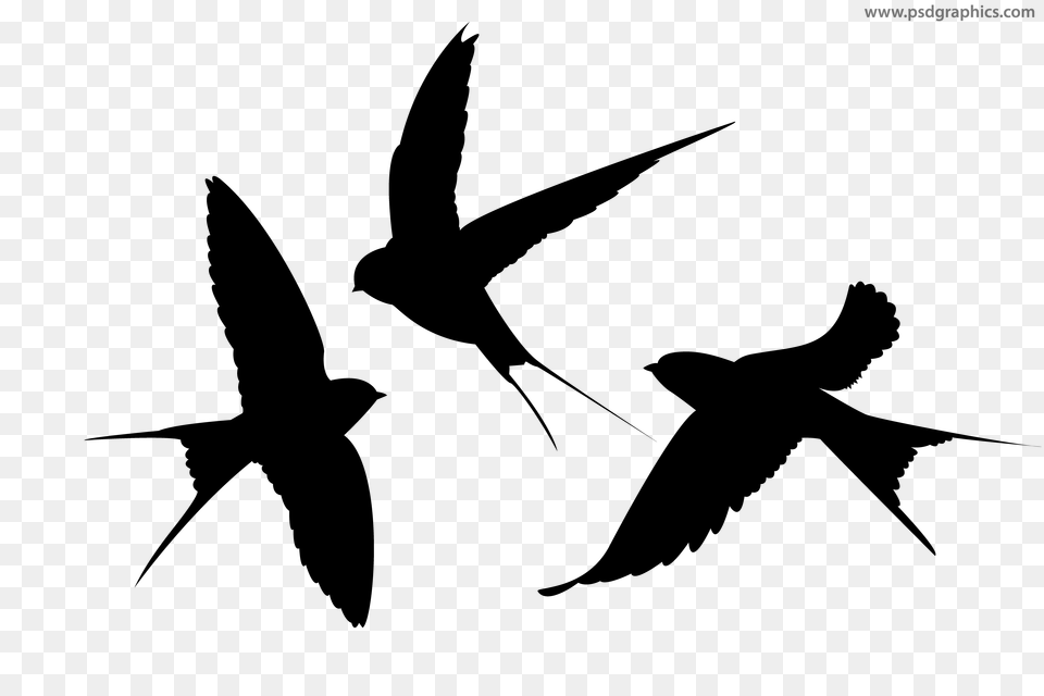 Flying Birds Vector, Gray Png