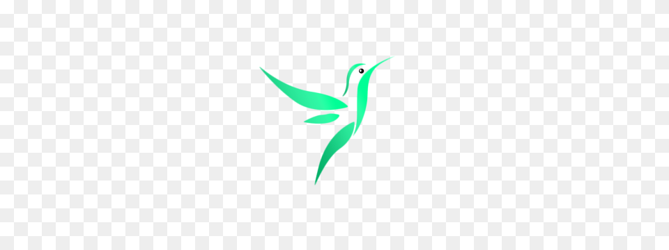 Flying Birds Vectors And Free Download, Animal, Bird, Hummingbird Png Image