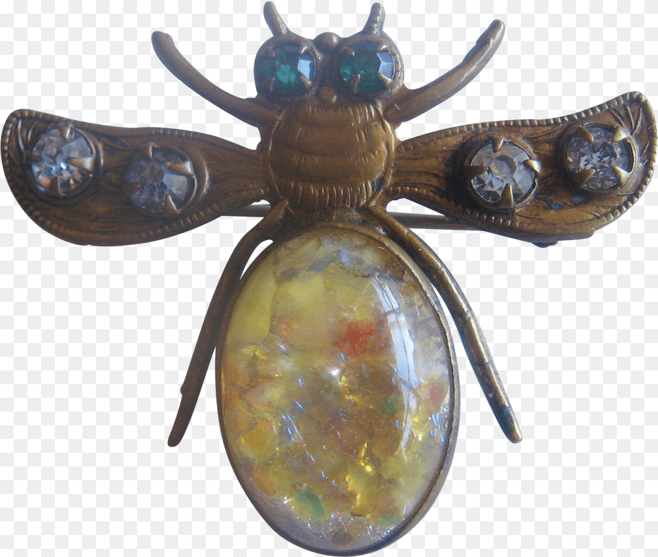 Flying Bug Amber, Accessories, Gemstone, Jewelry, Ornament Png