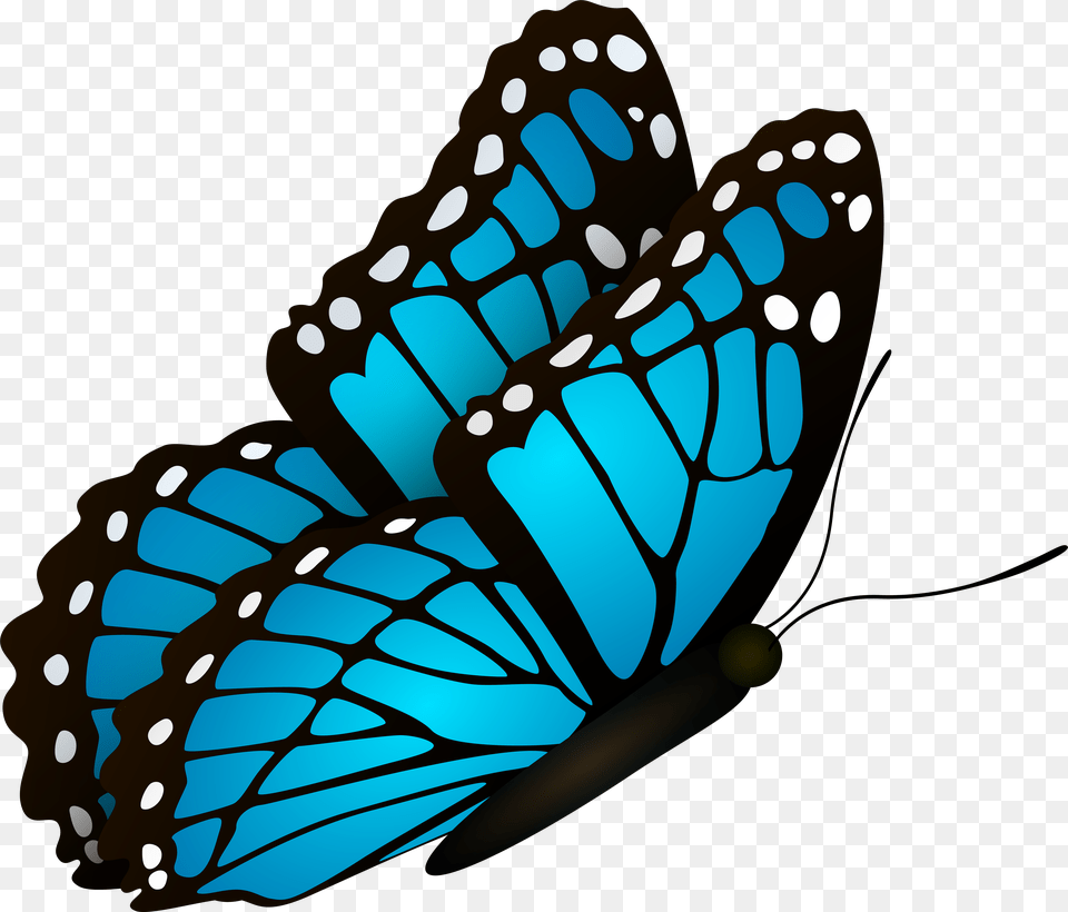 Flying Butterflies, Animal, Butterfly, Insect, Invertebrate Png Image