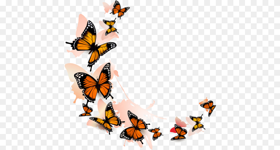 Flying Butterflies Transparent Background, Animal, Butterfly, Insect, Invertebrate Png Image