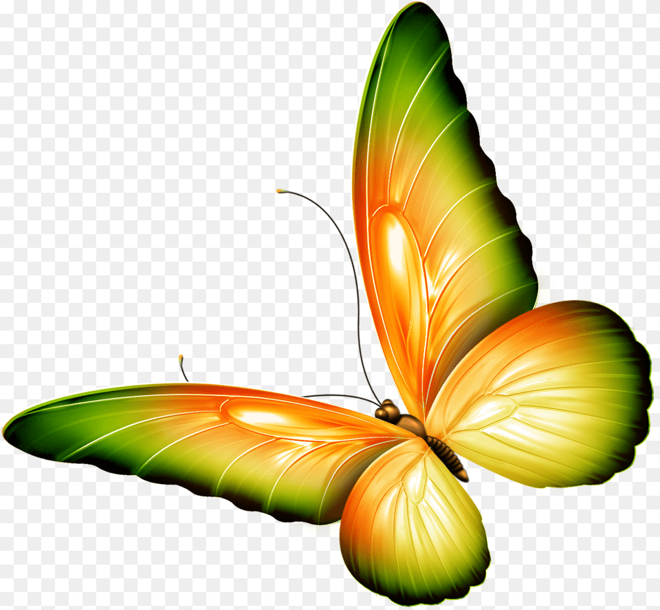 Flying Butterfly Clipart Clip Art Transparent Butterflies, Graphics, Animal, Insect, Invertebrate Png Image