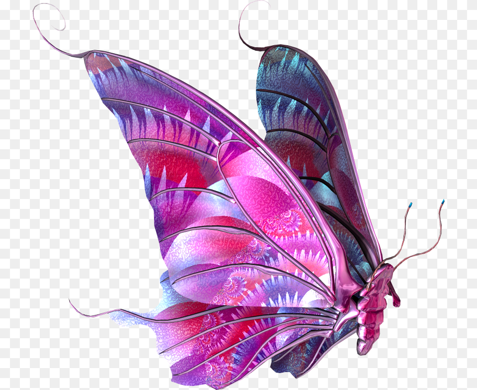 Flying Butterfly Hd, Animal, Invertebrate, Insect, Graphics Free Png