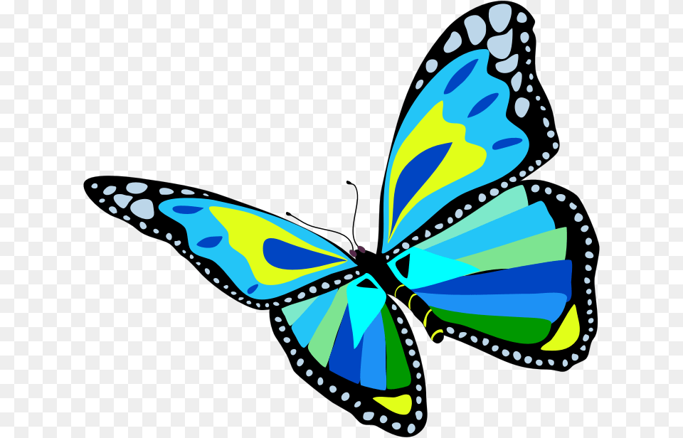 Flying Butterfly Images Colorful Flying Butterfly Clipart, Art, Graphics, Animal, Insect Png Image