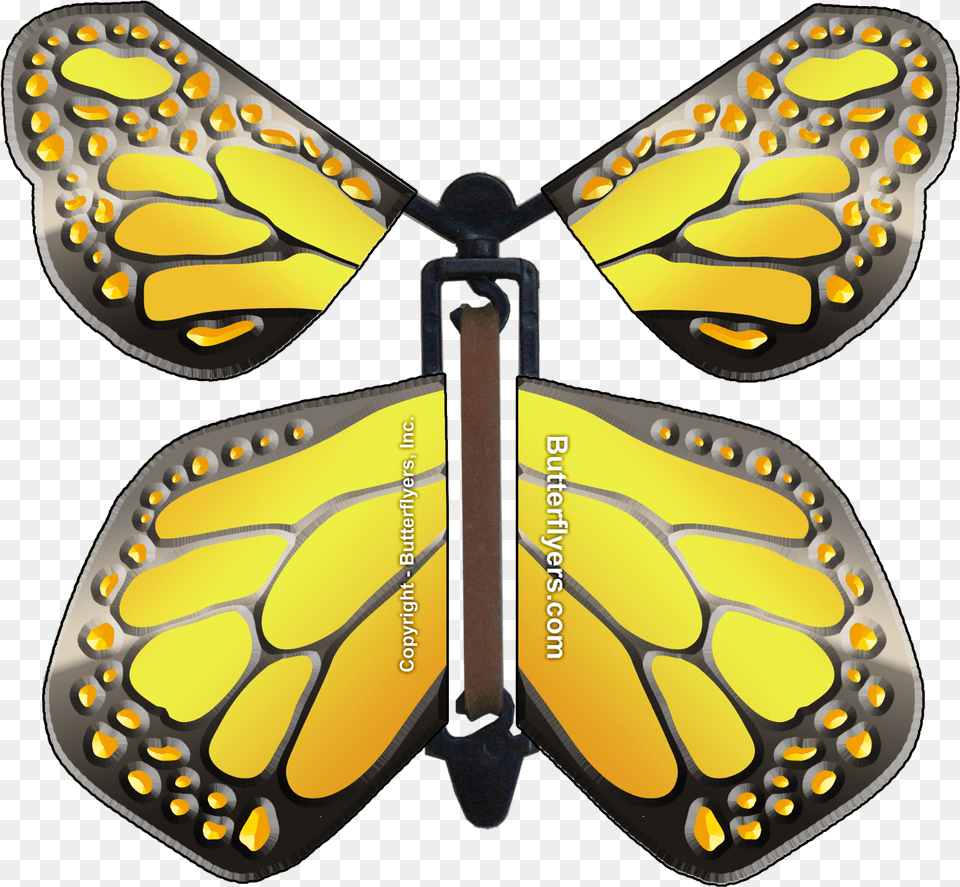 Flying Butterfly In Card, Accessories, Animal, Insect, Invertebrate Free Transparent Png