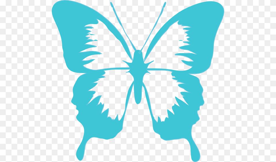 Flying Butterfly Outline Clipart Collection, Flower, Plant, Stencil, Person Free Png Download