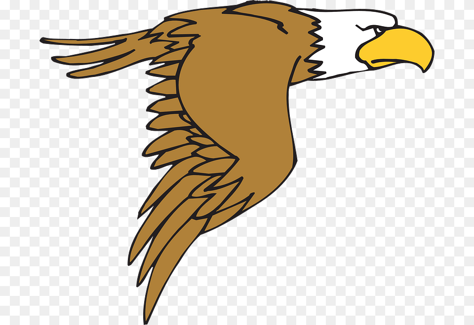 Flying Cartoon Eagle Clipart Cartoon Hawk Clipart, Animal, Beak, Bird, Fish Png