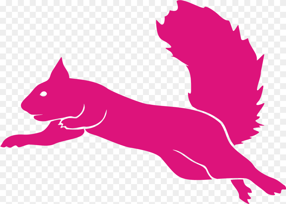 Flying Cat Flying Squirrel Squirrel Logo, Baby, Person, Animal, Mammal Free Png Download