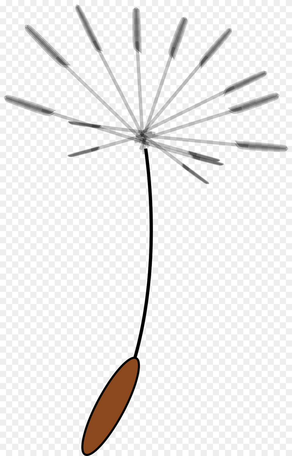 Flying Clipart, Flower, Plant, Bow, Weapon Png Image