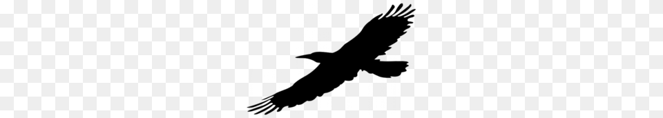 Flying Clipart, Animal, Bird, Blackbird, Silhouette Free Png