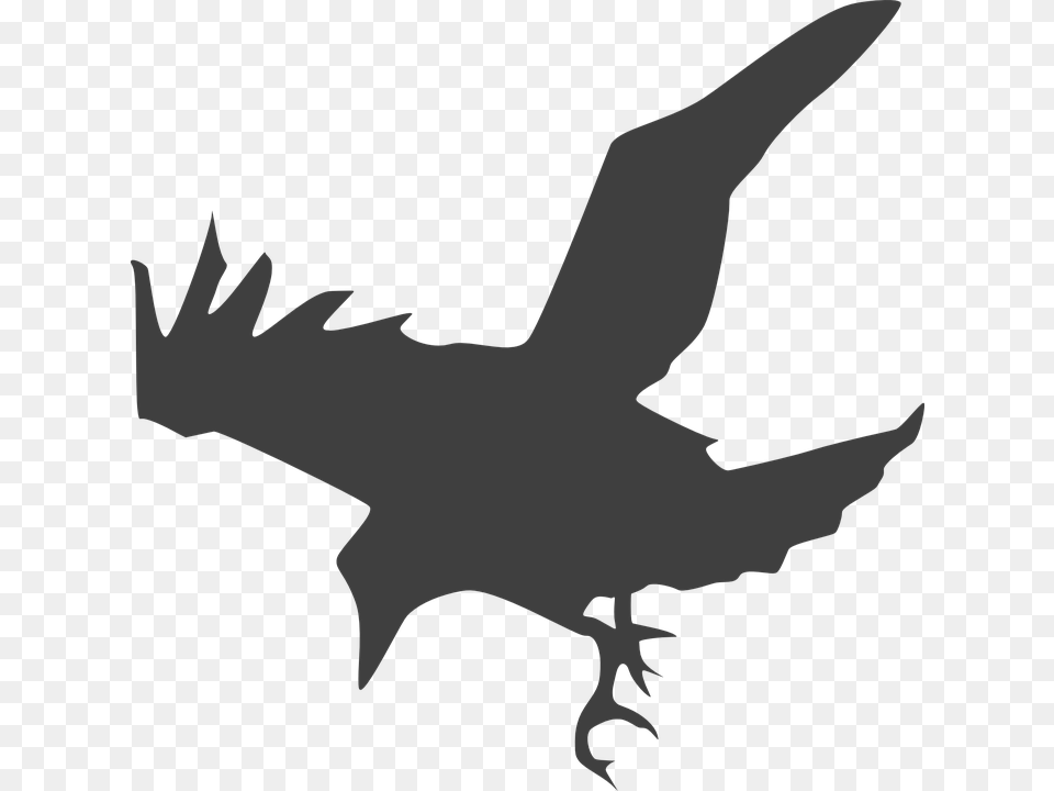 Flying Crow Black And White Transparent Flying Crow Black, Silhouette, Animal, Bird, Fish Png Image