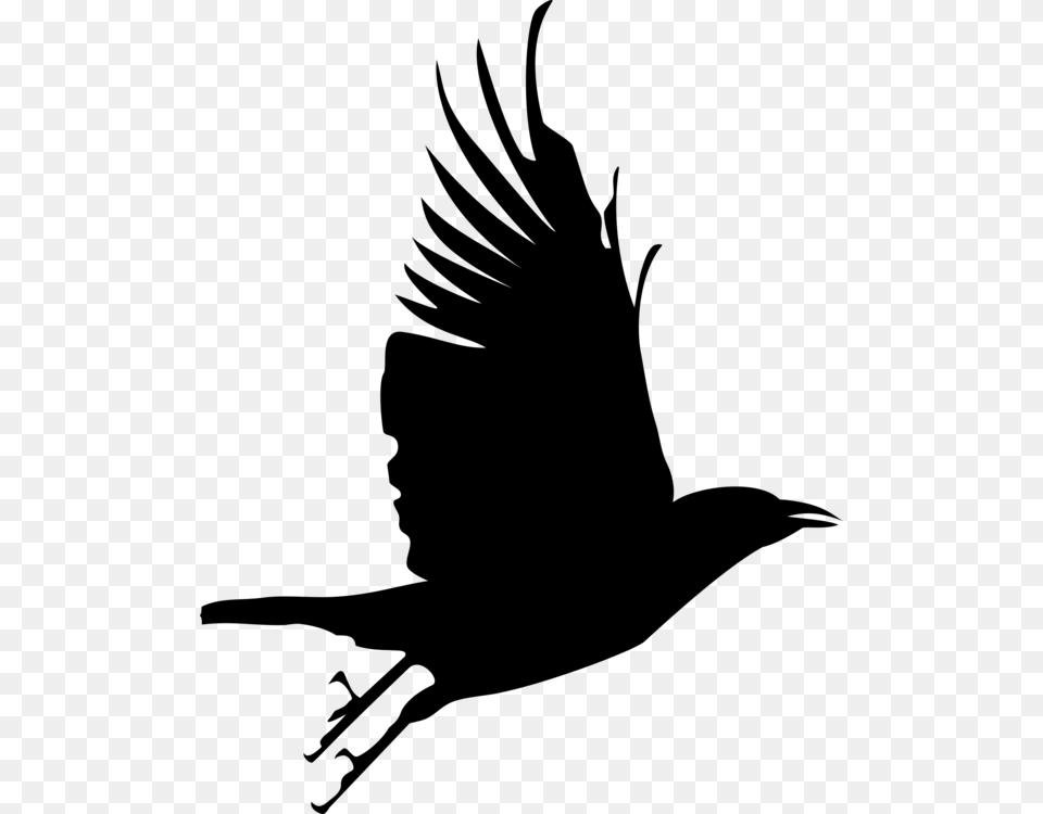 Flying Crow Gif, Gray Free Transparent Png