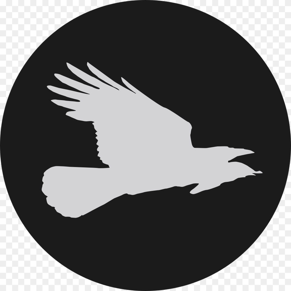 Flying Crow Press Twitter Logo Black Circle, Animal, Bird Free Png