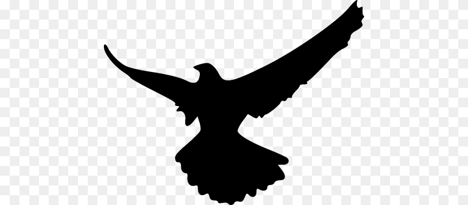 Flying Crow Silhouette, Animal, Bird, Blackbird, Person Png Image