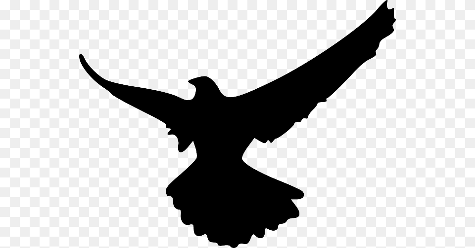 Flying Crow Silhouette Eagle Silhouette Gif, Person, Animal, Bird, Blackbird Free Png
