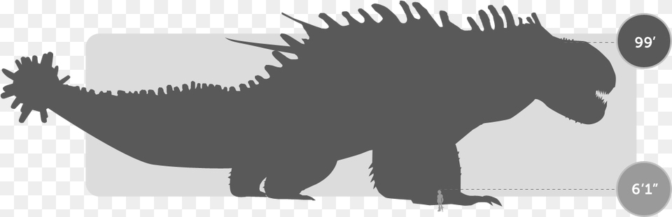 Flying Dinosaur Silhouette Cliparts Size Chart Httyd, Animal, Iguana, Lizard, Reptile Free Png