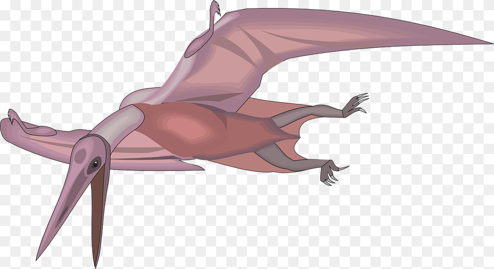 Flying Dinosaurs Cartoon, Animal Free Png Download