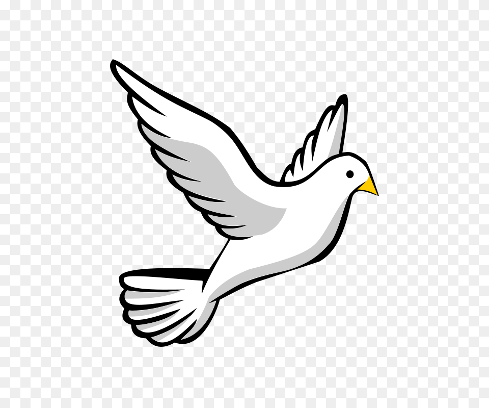 Flying Dove, Animal, Bird, Finch Free Transparent Png