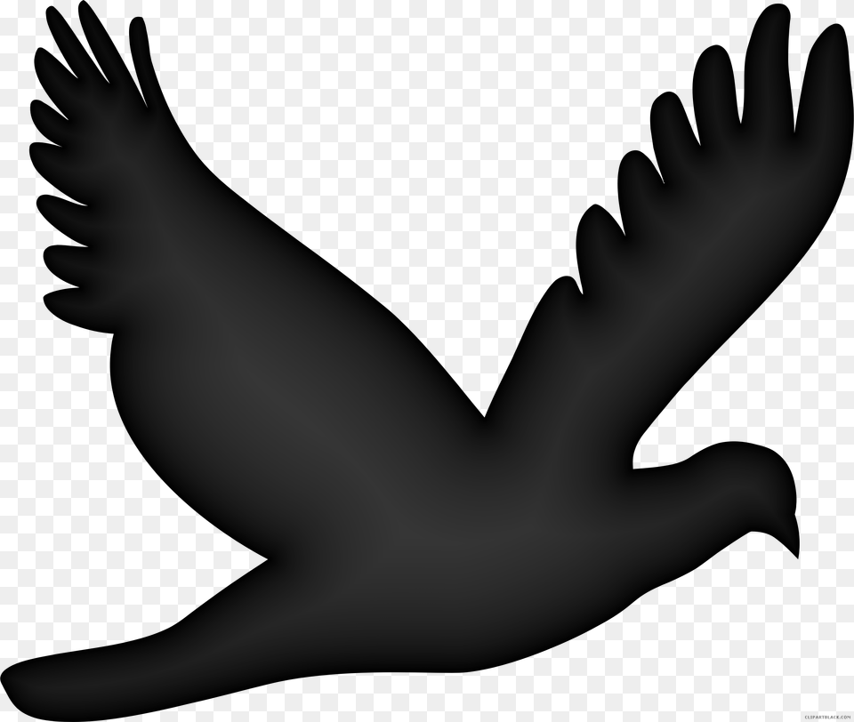 Flying Dove Animal Free Black White Clipart Images Clipart Of Flying Birds, Baby, Person Png