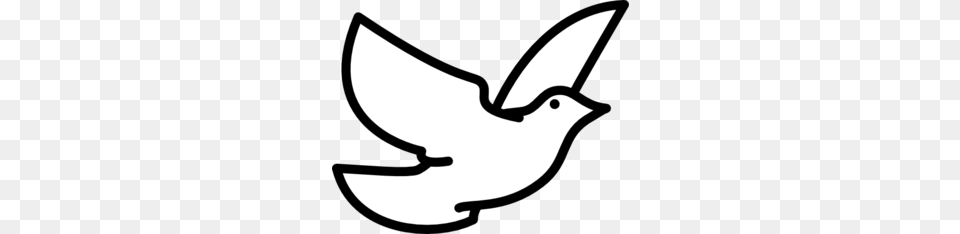 Flying Dove Outline Clip Art For Web, Stencil, Animal, Fish, Sea Life Png