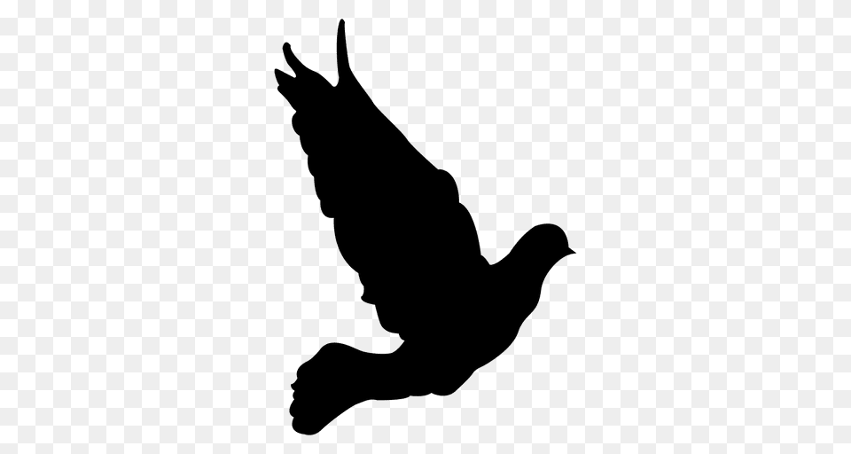 Flying Dove Sequence, Animal, Bird, Canine, Dog Free Png