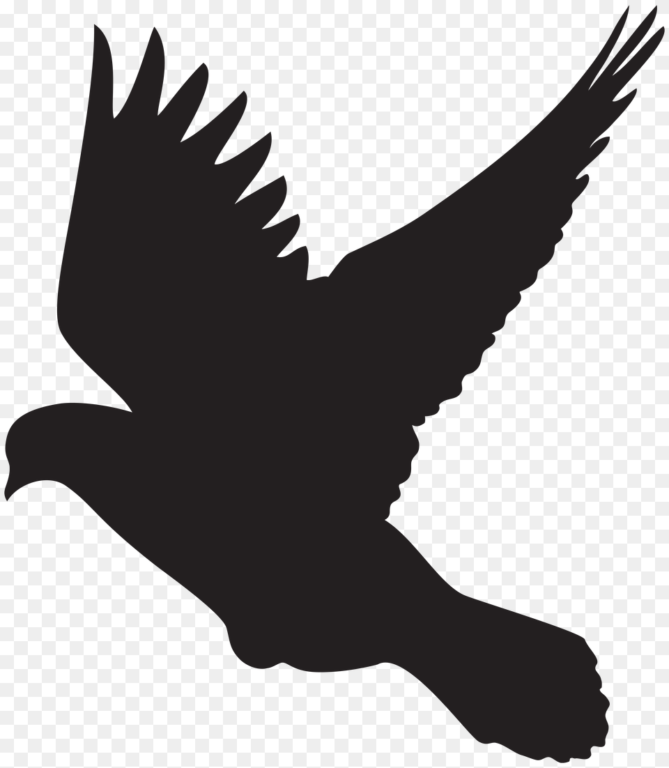 Flying Dove Silhouette Clip Free Transparent Png